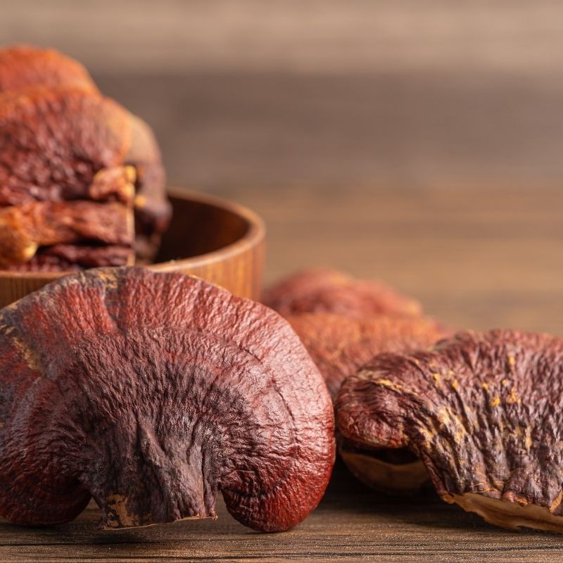 Ganoderma Nedir?
